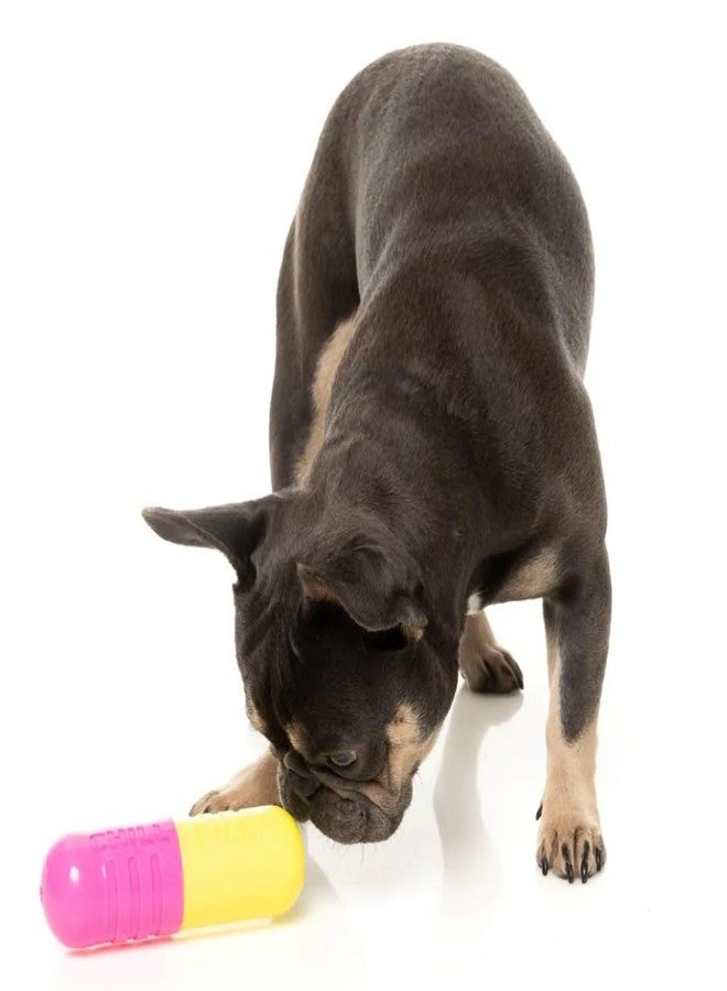 Fuzzyard Chill Pill Rubber Dog Toy Premium Interactive Chew Treat Dispenser with Squeaker - Image 2